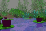 frog leaping lily pads