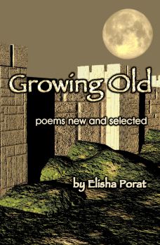 cover of Elisha's book