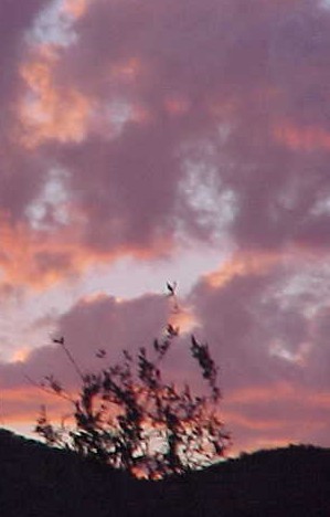 photo of southwest sunset