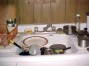 sink3