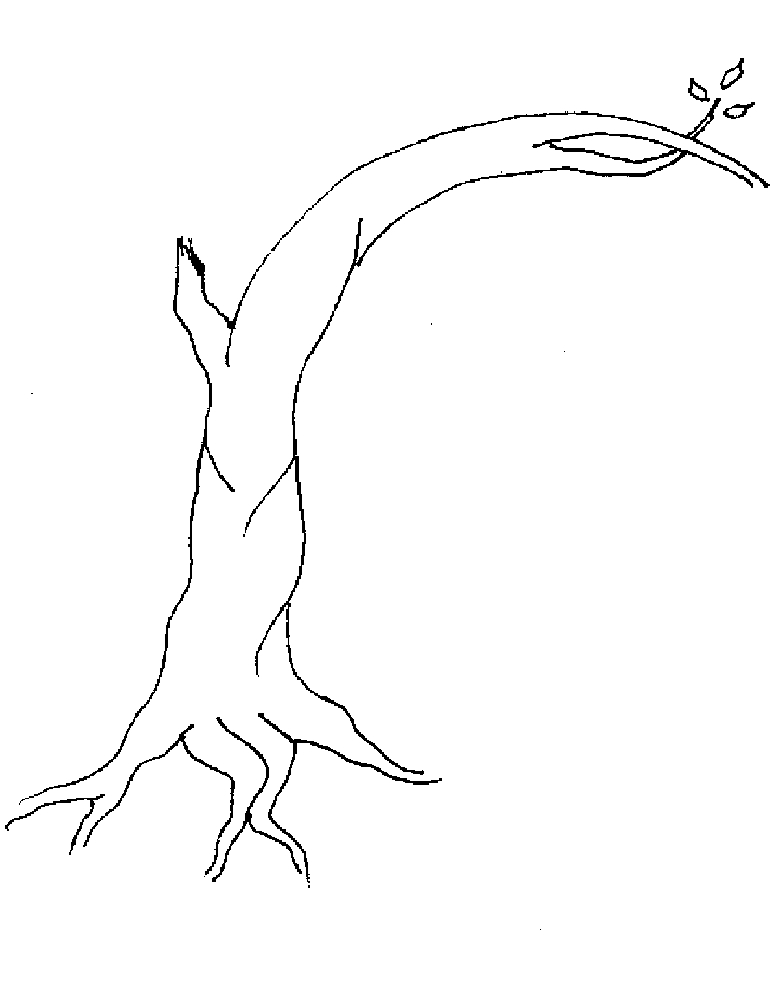 Bare tree coloring page - Coloring Pages & Pictures - IMAGIXS