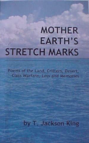 chap book cover