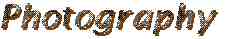 photography name logo